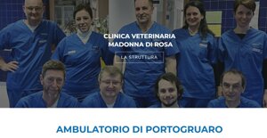 senza titolo(85)